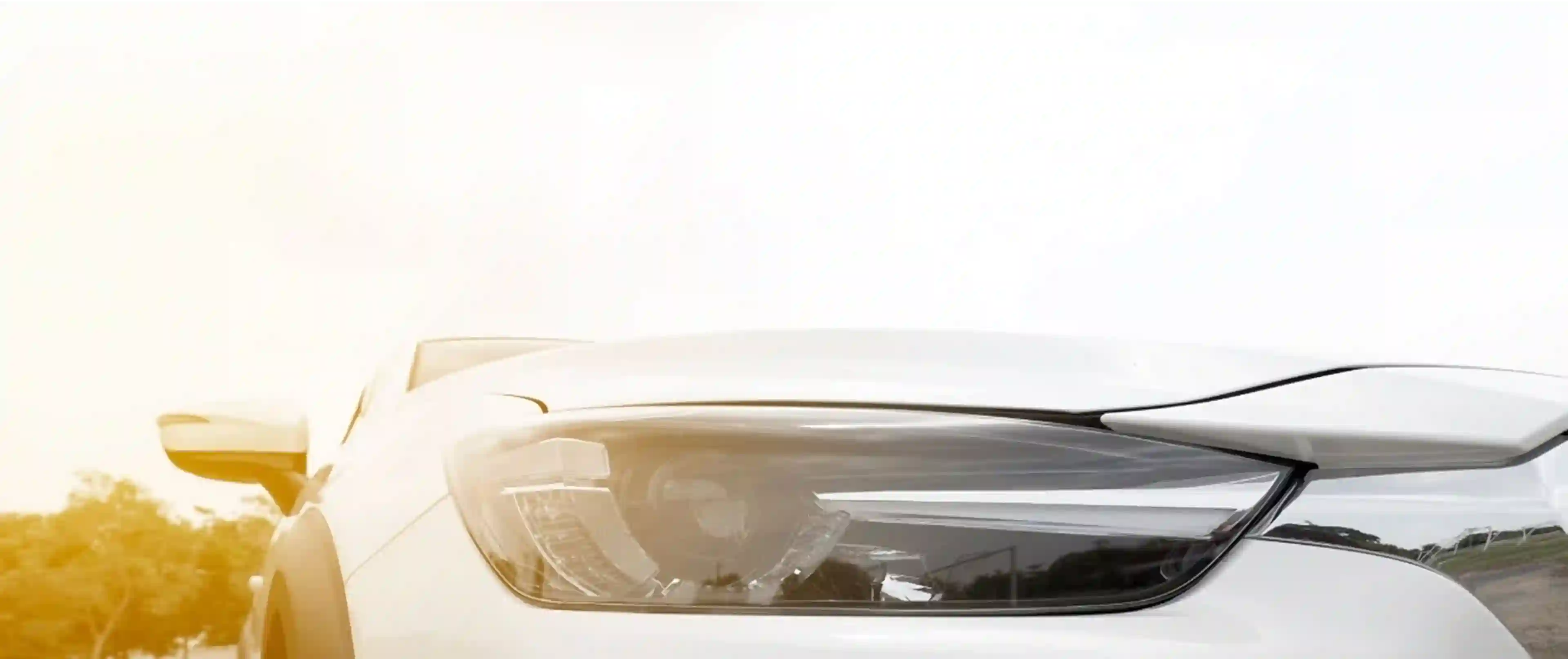 Фоновое изображение навигационной секции